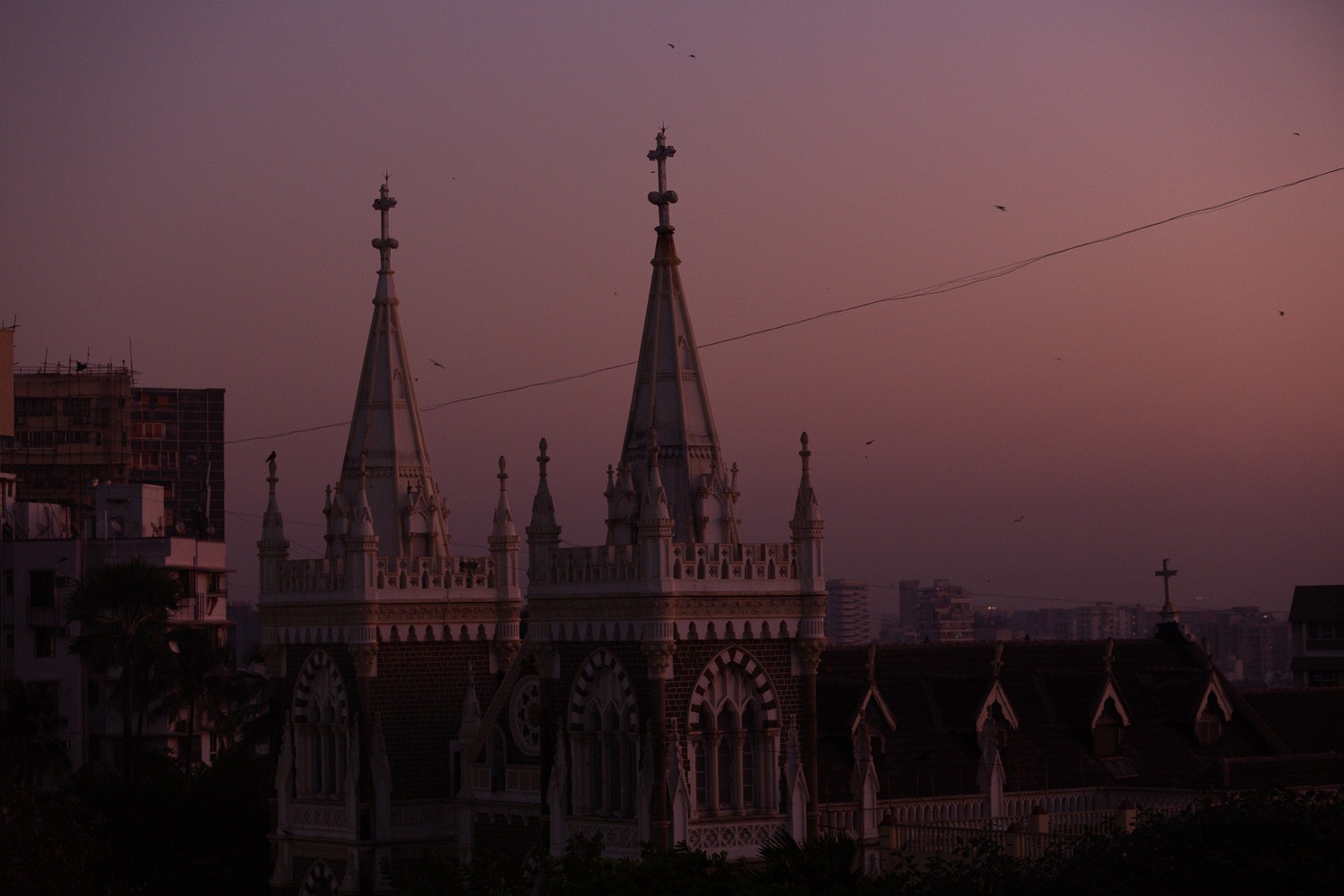 Mastering Natural Light in Photography: Essential Techniques for Stunning Shots