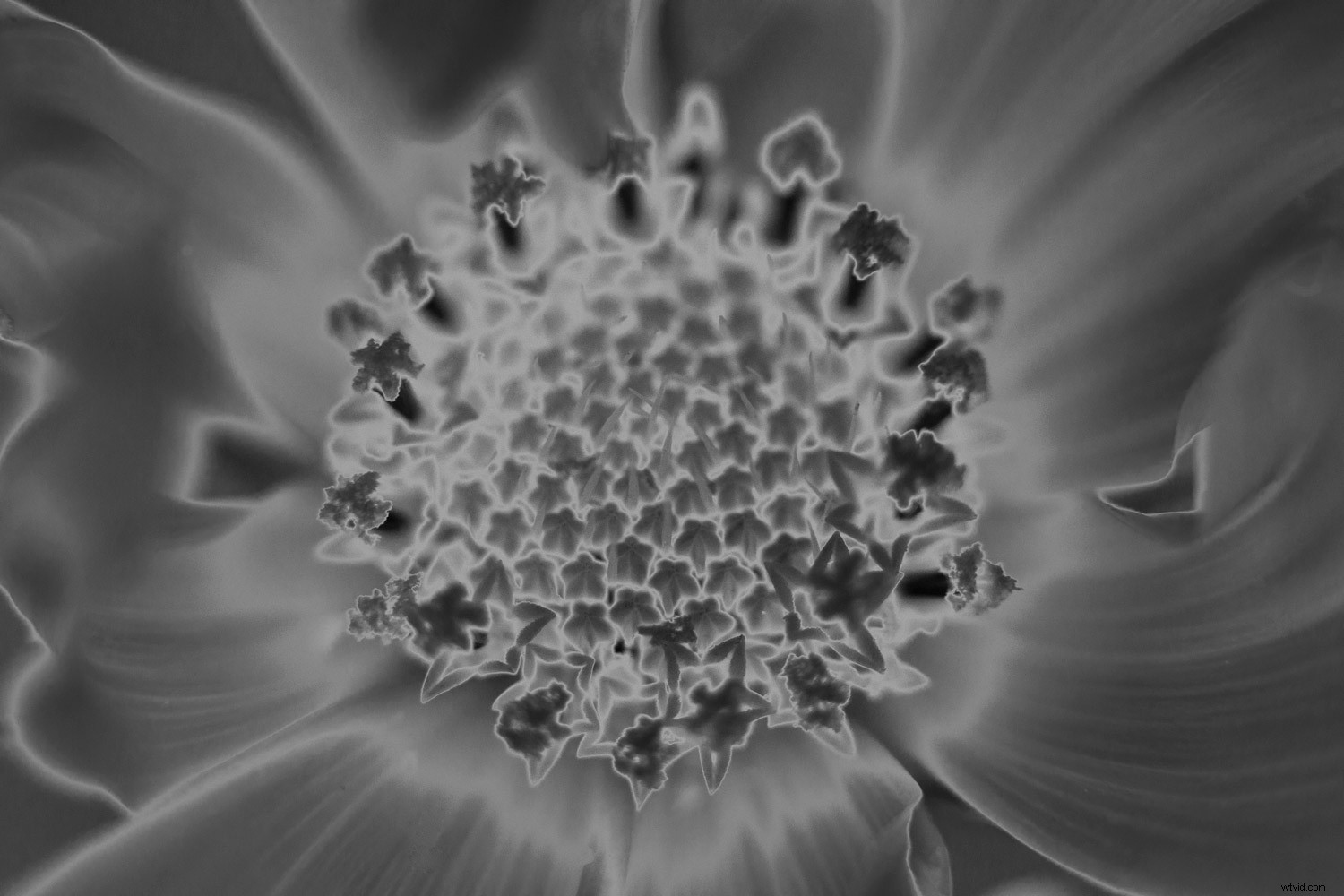 9 Trailblazing Women Photographers Who Revolutionized History