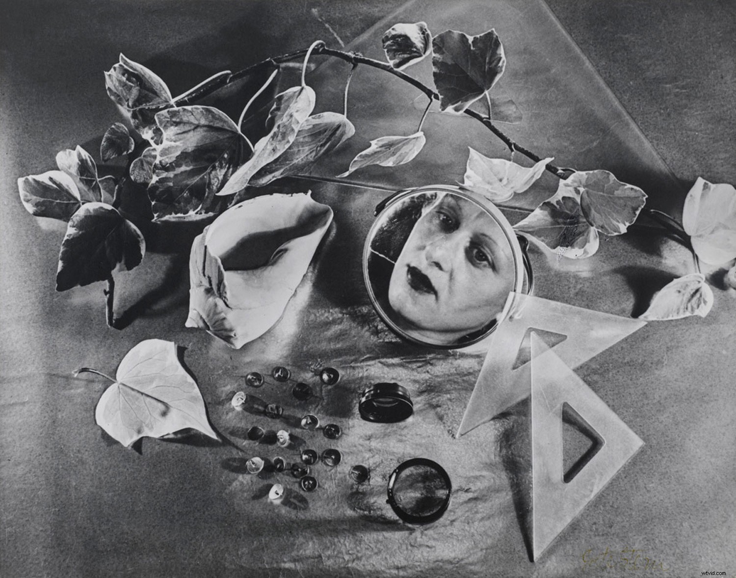 9 Trailblazing Women Photographers Who Revolutionized History