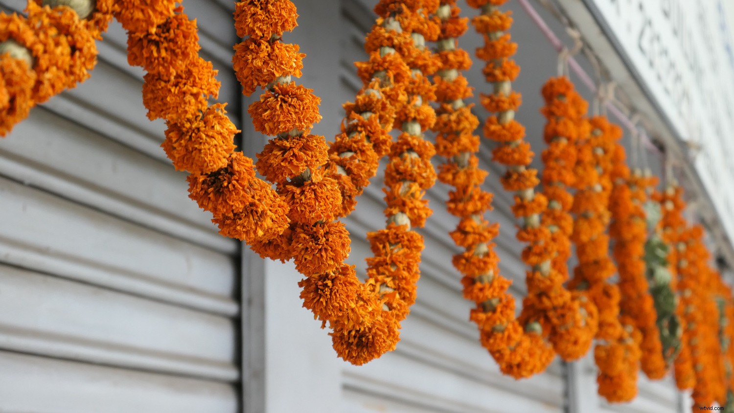 Leica C-Lux Review: Versatile Compact Camera with 20MP Sensor & 15x Zoom