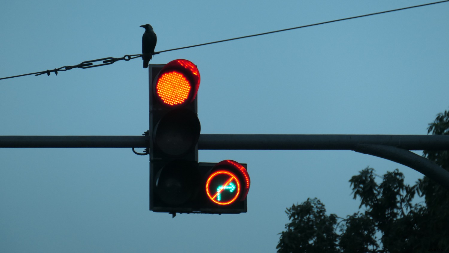 Leica C-Lux Review: Versatile Compact Camera with 20MP Sensor & 15x Zoom