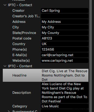 Expert Editing Tips for Stunning Music Photography