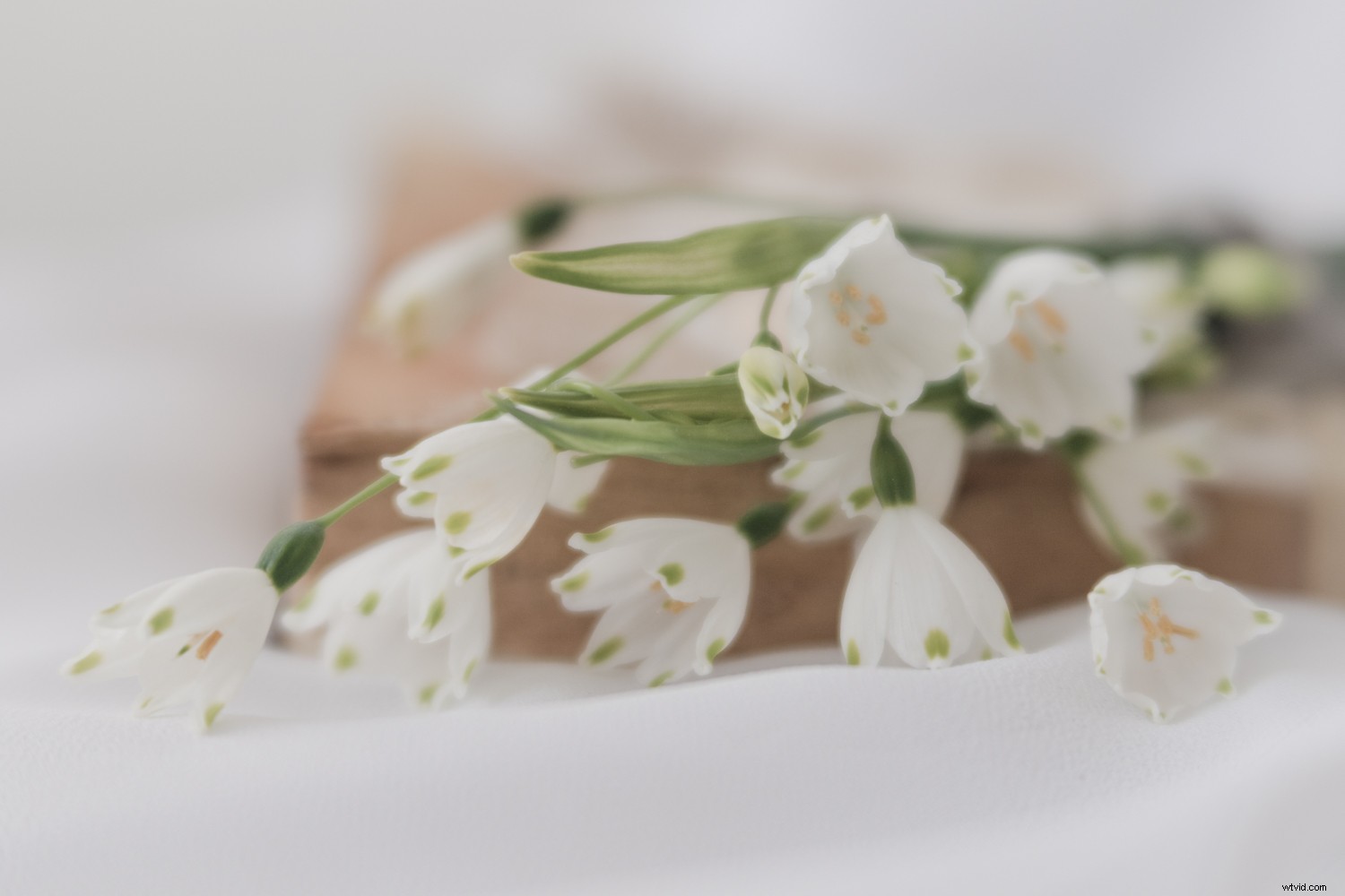 Embracing Blur in Creative Photography: Why Perfect Sharpness Isn t Essential