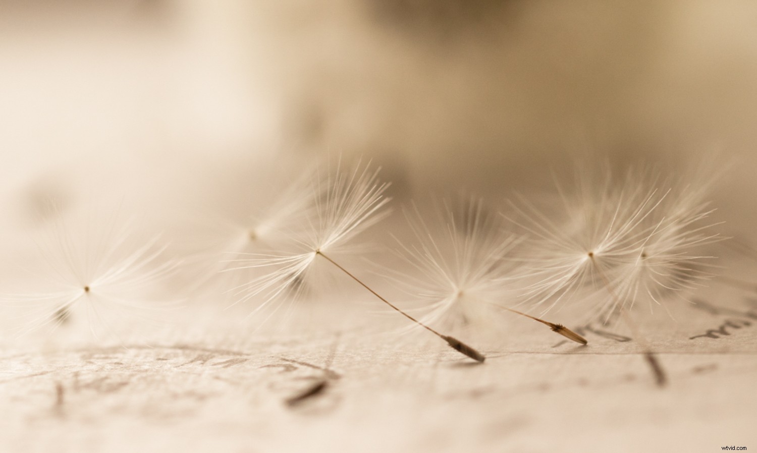 Embracing Blur in Creative Photography: Why Perfect Sharpness Isn t Essential