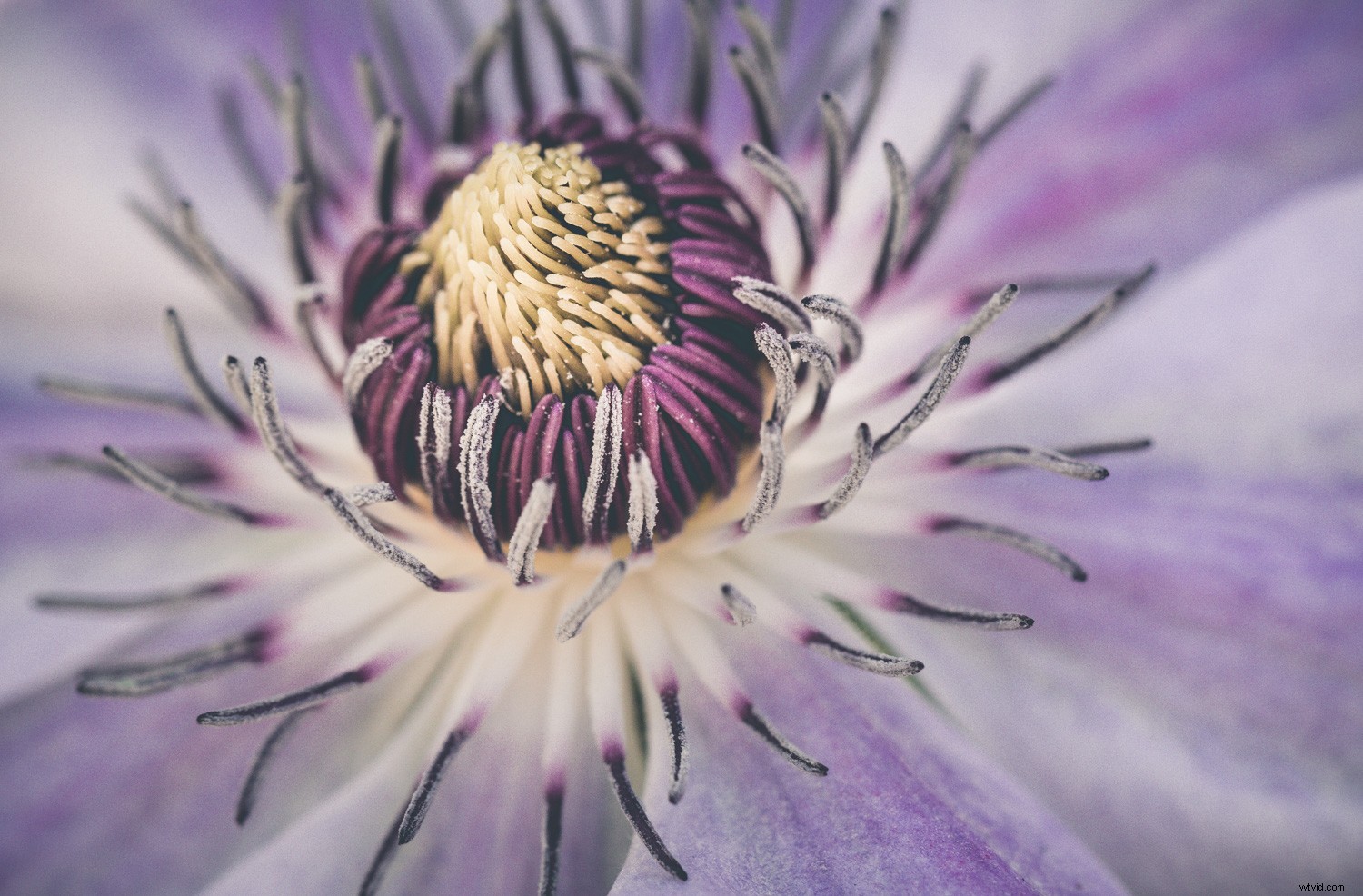 Embracing Blur in Creative Photography: Why Perfect Sharpness Isn t Essential