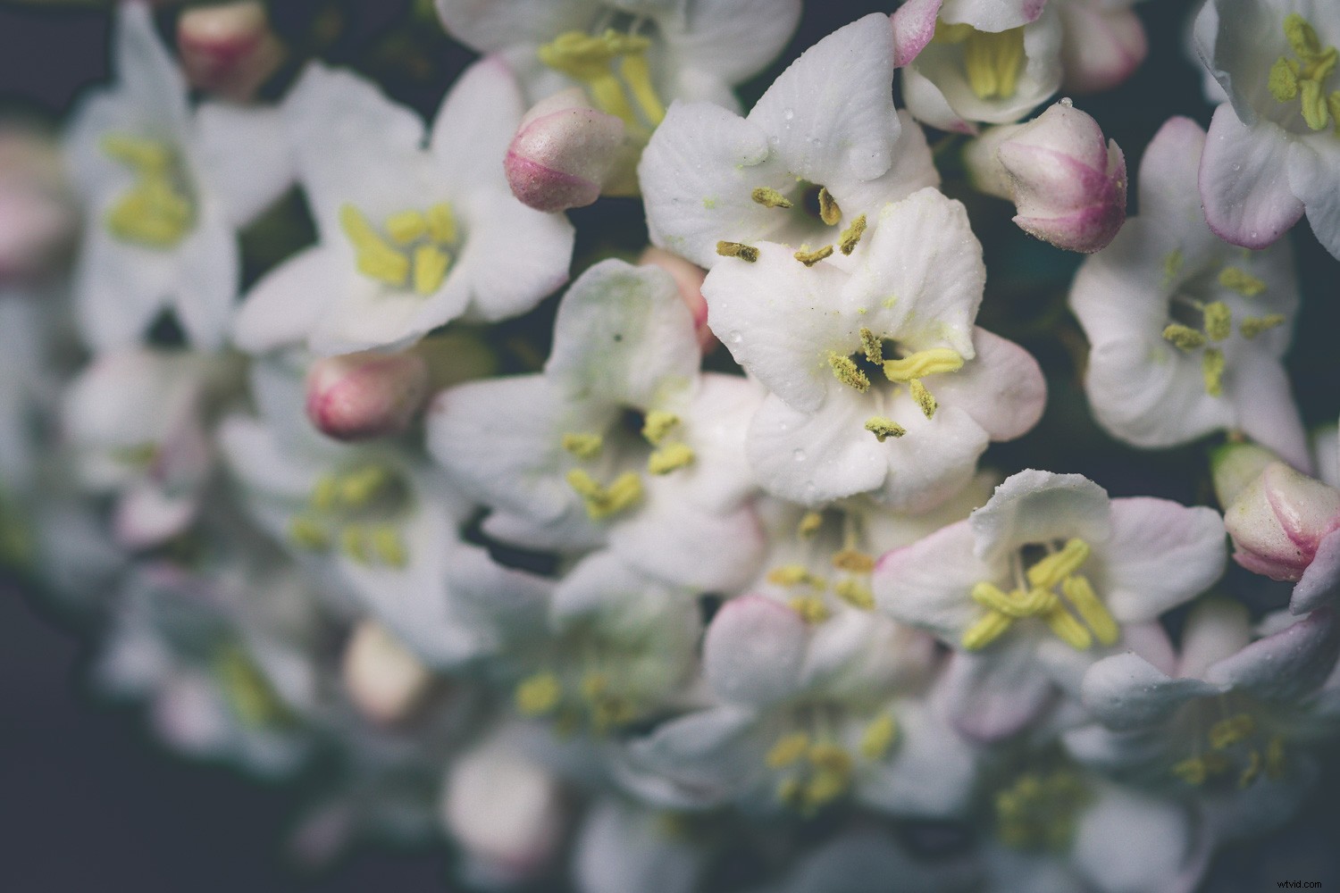 Embracing Blur in Creative Photography: Why Perfect Sharpness Isn t Essential