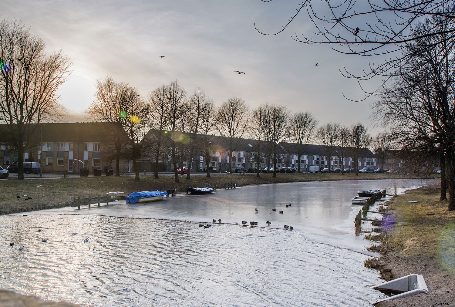 Master Exposure Balancing in Adobe Camera Raw: Prevent Clipping and Elevate Your Photos