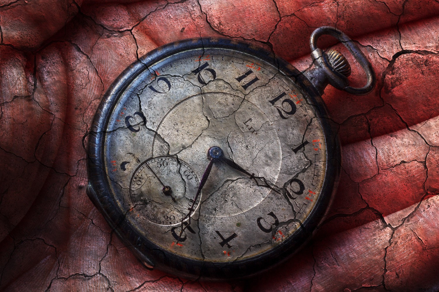 Master Textures in Photography: Create Stunning, Compelling Images