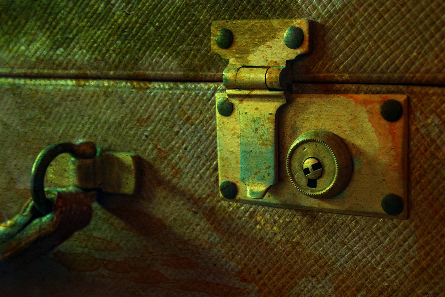 Master Textures in Photography: Create Stunning, Compelling Images