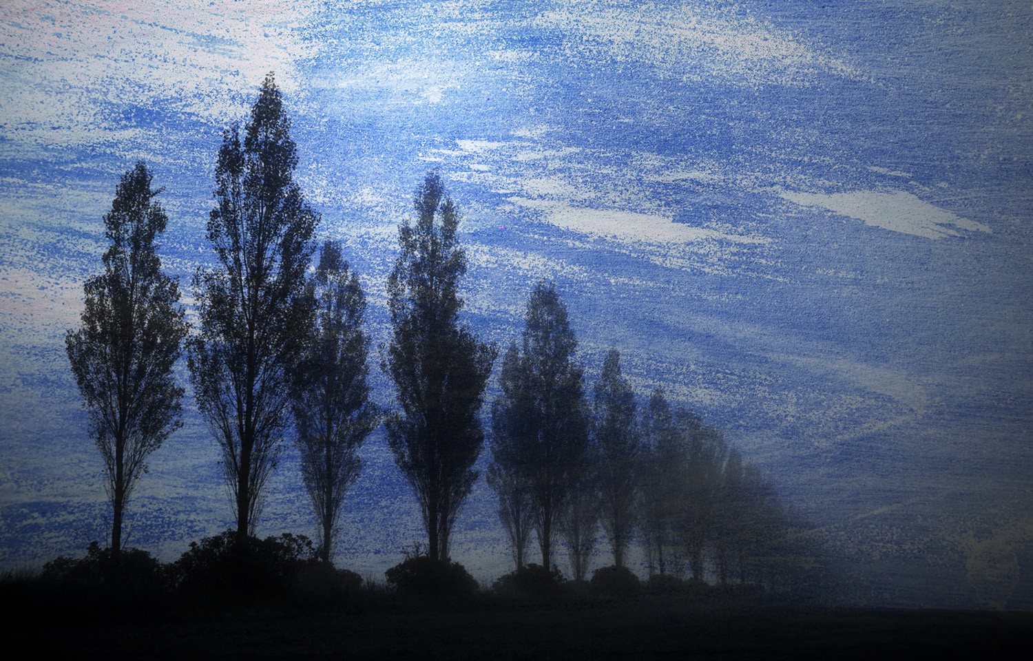 Master Textures in Photography: Create Stunning, Compelling Images