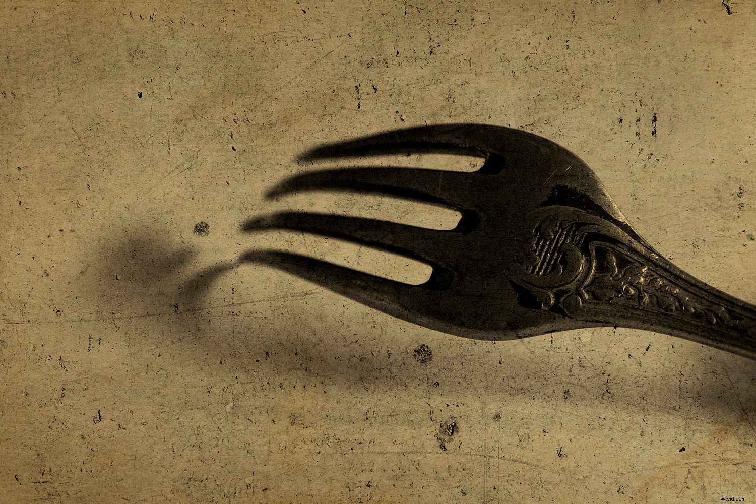 Master Textures in Photography: Create Stunning, Compelling Images