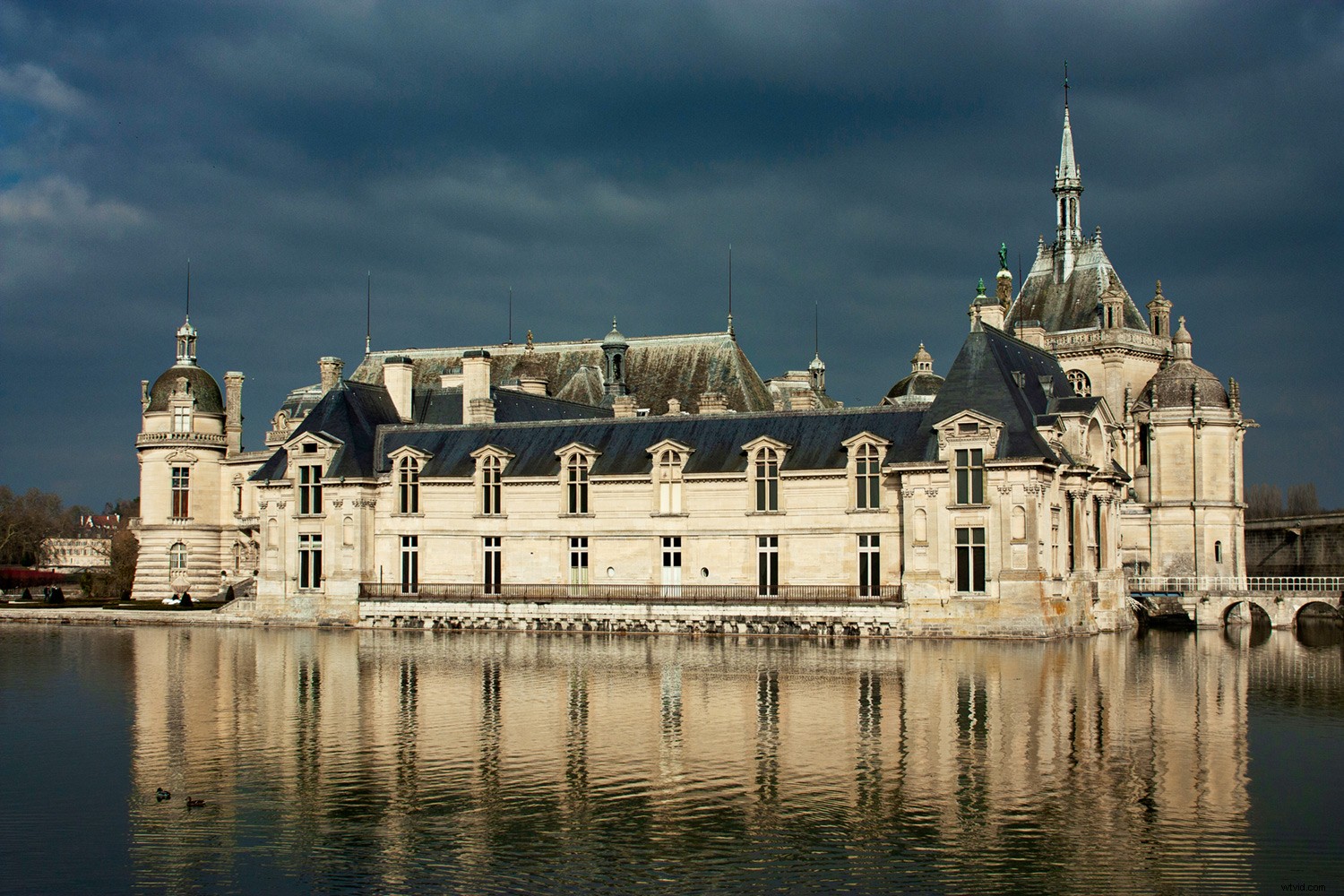 Polarr Online Photo Editor Review: Free Features vs. Photoshop Compared