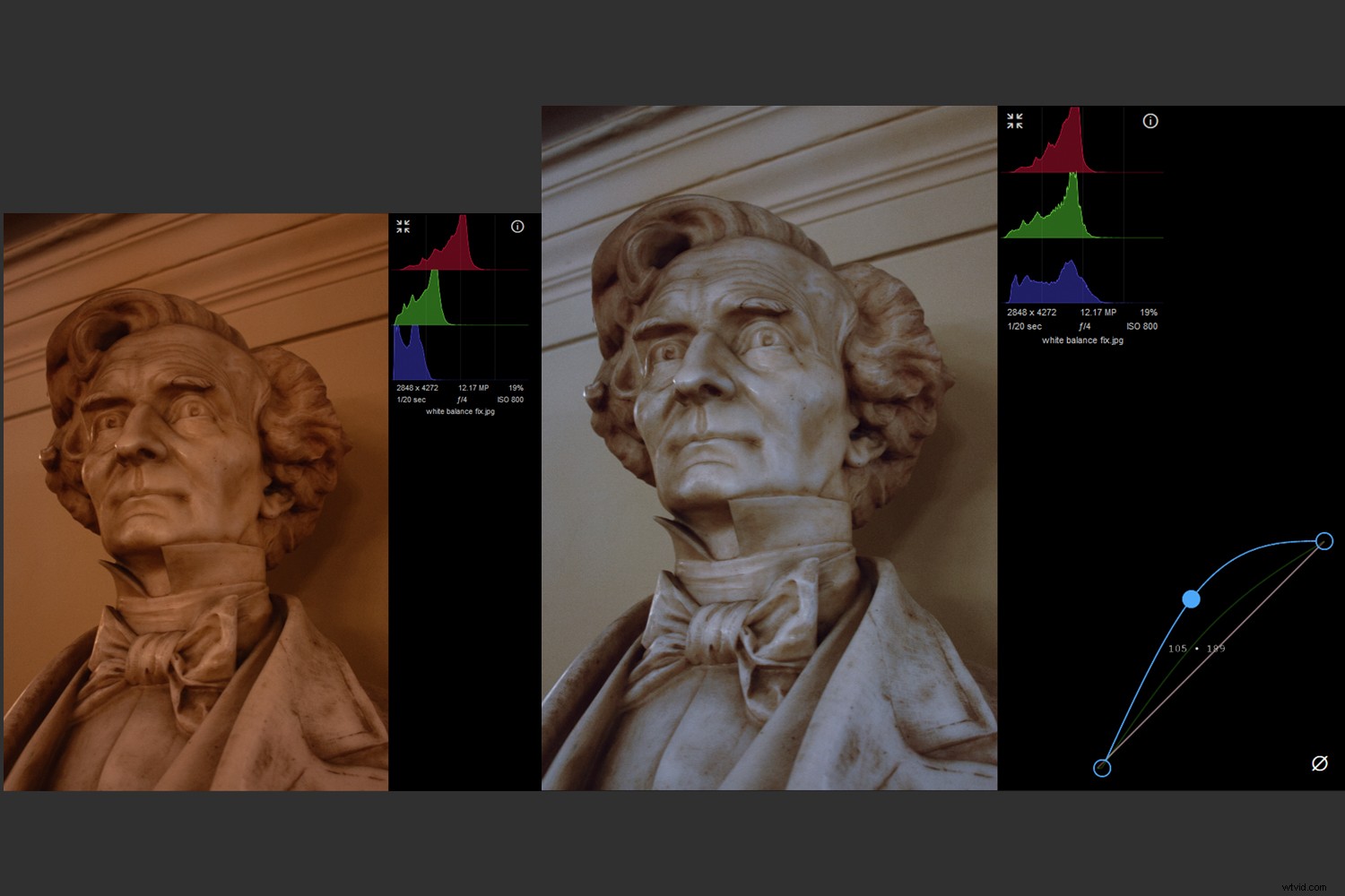 Polarr Online Photo Editor Review: Free Features vs. Photoshop Compared