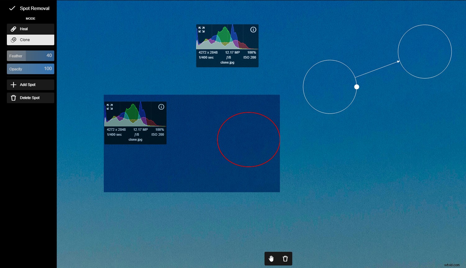 Polarr Online Photo Editor Review: Free Features vs. Photoshop Compared