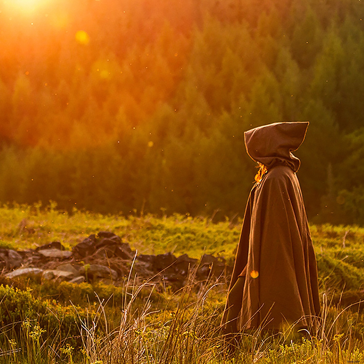 5 Portrait Photography Rules You Can Safely Ignore for Stunning Results