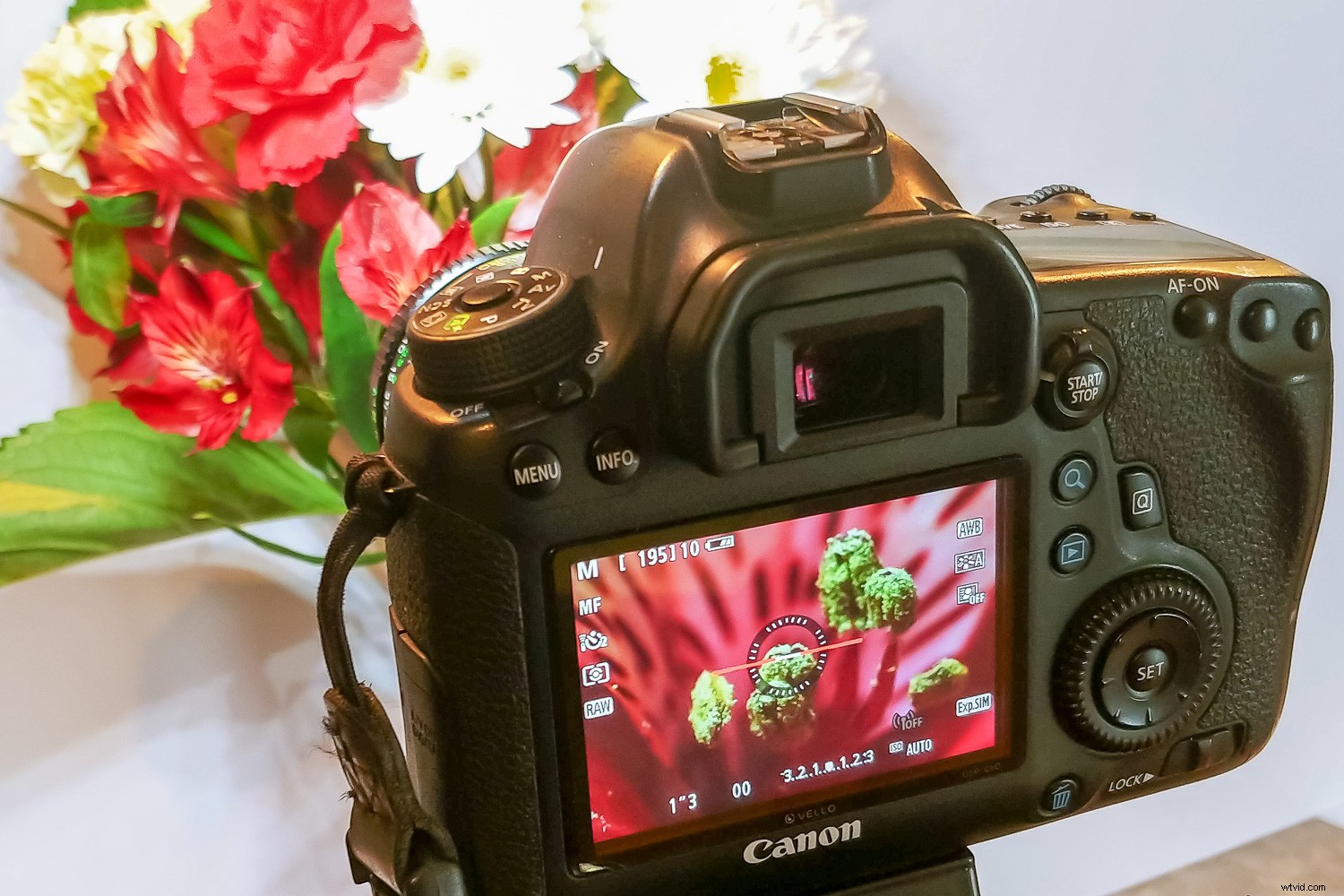 Reverse Lens Macro: Capture Stunning Close-Ups with Budget-Friendly  Backward Thinking 