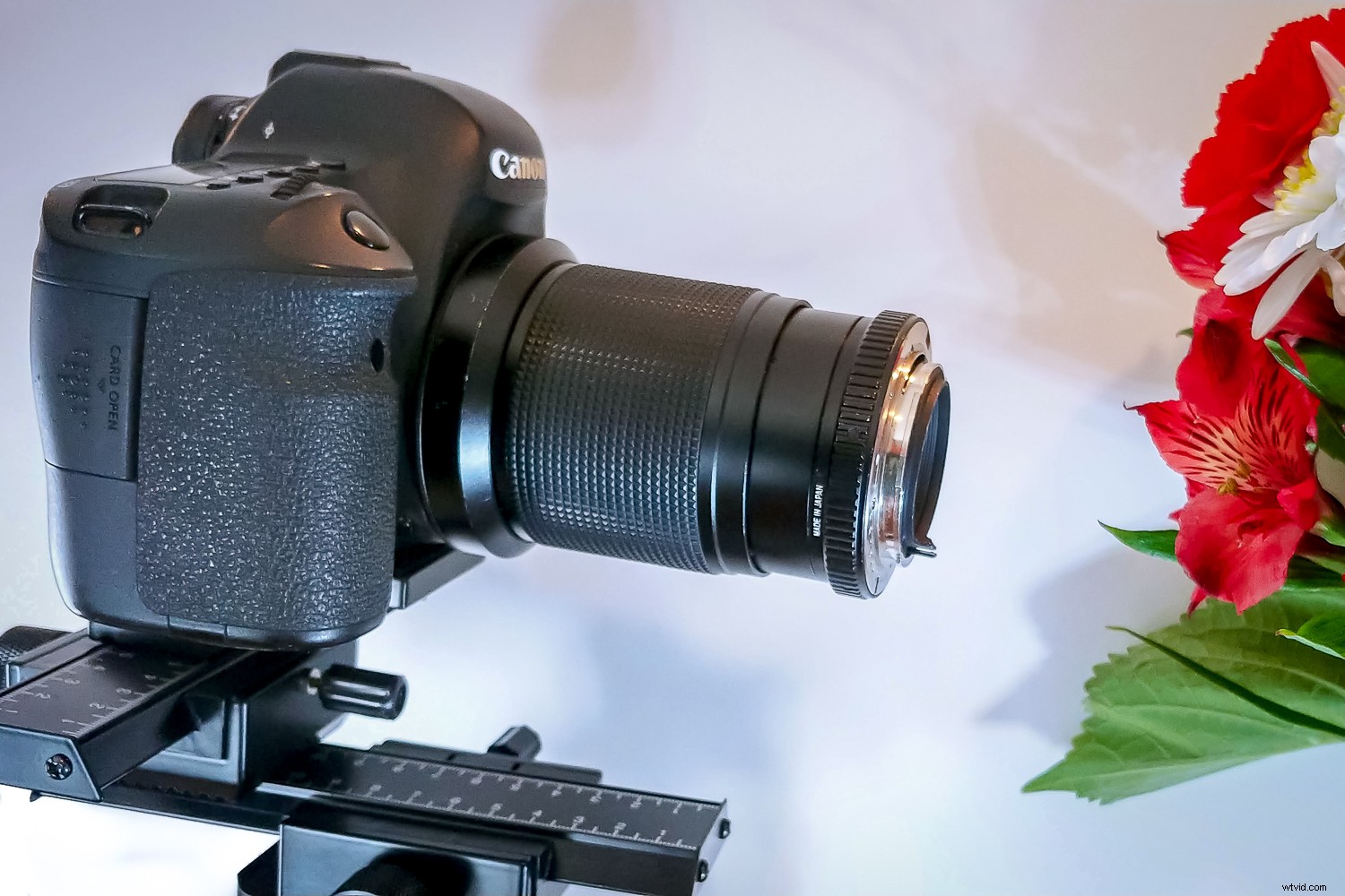 Reverse Lens Macro: Capture Stunning Close-Ups with Budget-Friendly  Backward Thinking 