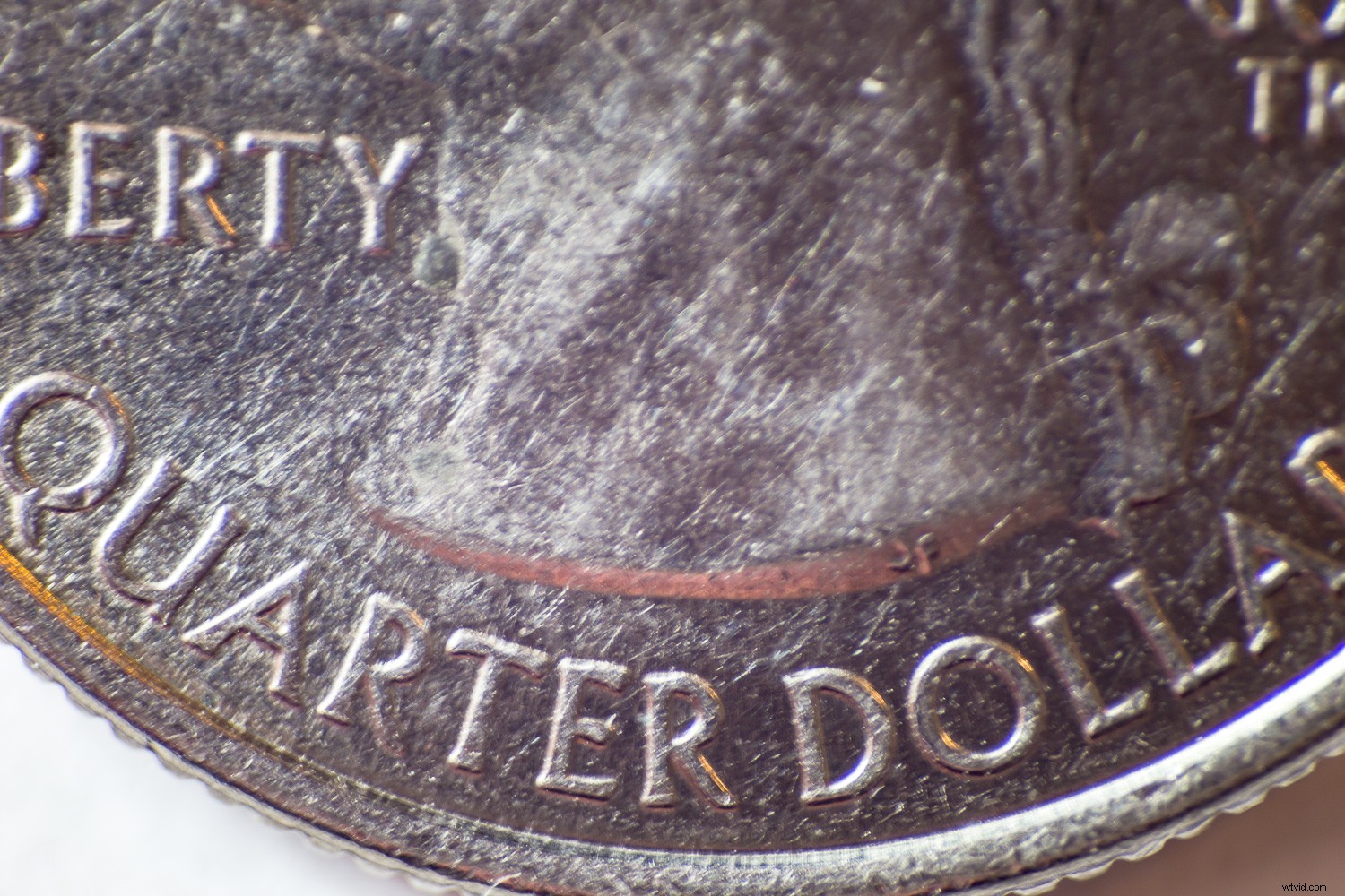 Reverse Lens Macro: Capture Stunning Close-Ups with Budget-Friendly  Backward Thinking 