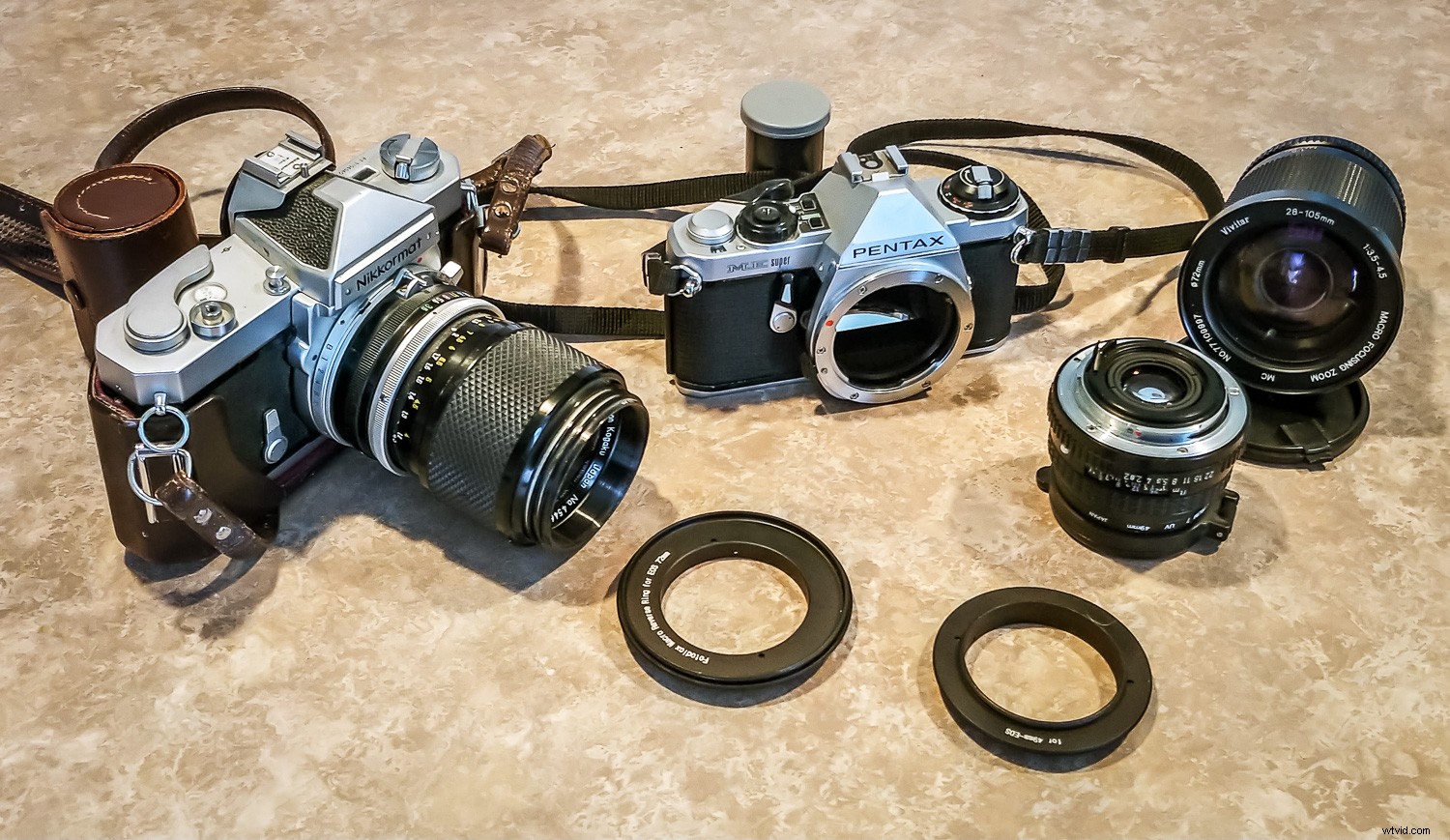 Reverse Lens Macro: Capture Stunning Close-Ups with Budget-Friendly  Backward Thinking 