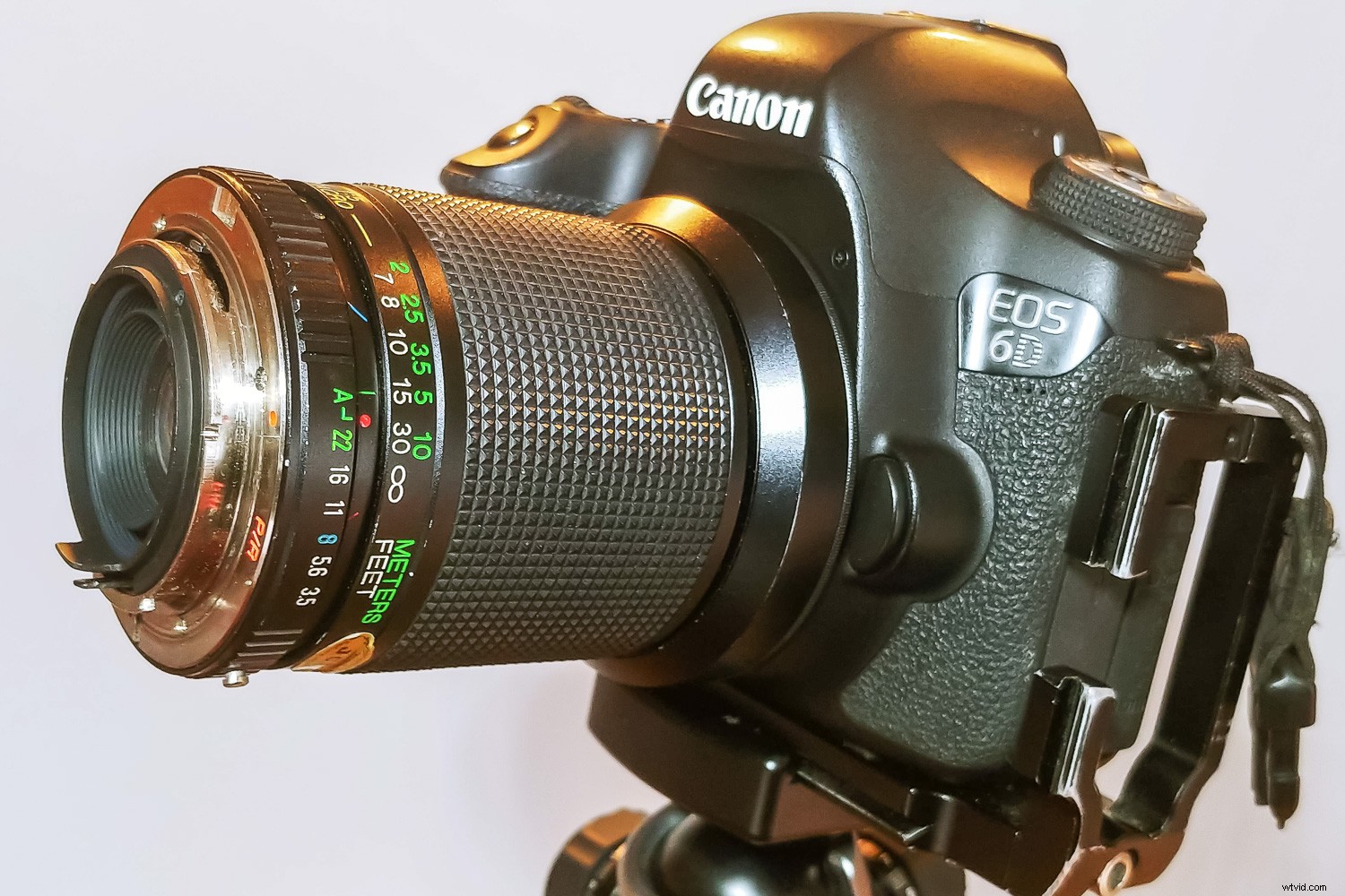 Reverse Lens Macro: Capture Stunning Close-Ups with Budget-Friendly  Backward Thinking 