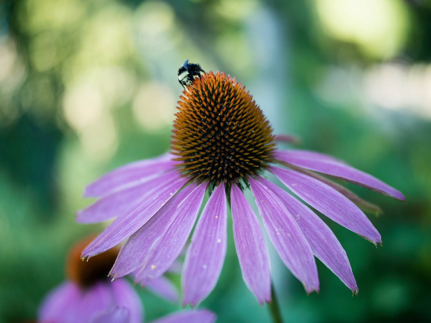 Are Digital Filters Replacing Physical Lens Filters in Photography?