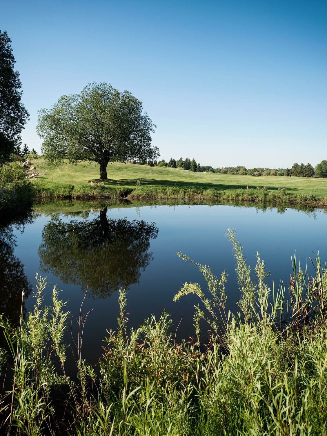 Are Digital Filters Replacing Physical Lens Filters in Photography?