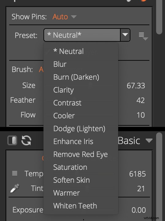 Alien Skin Exposure X4 Review: Powerful Lightroom Alternative with 500+ Presets