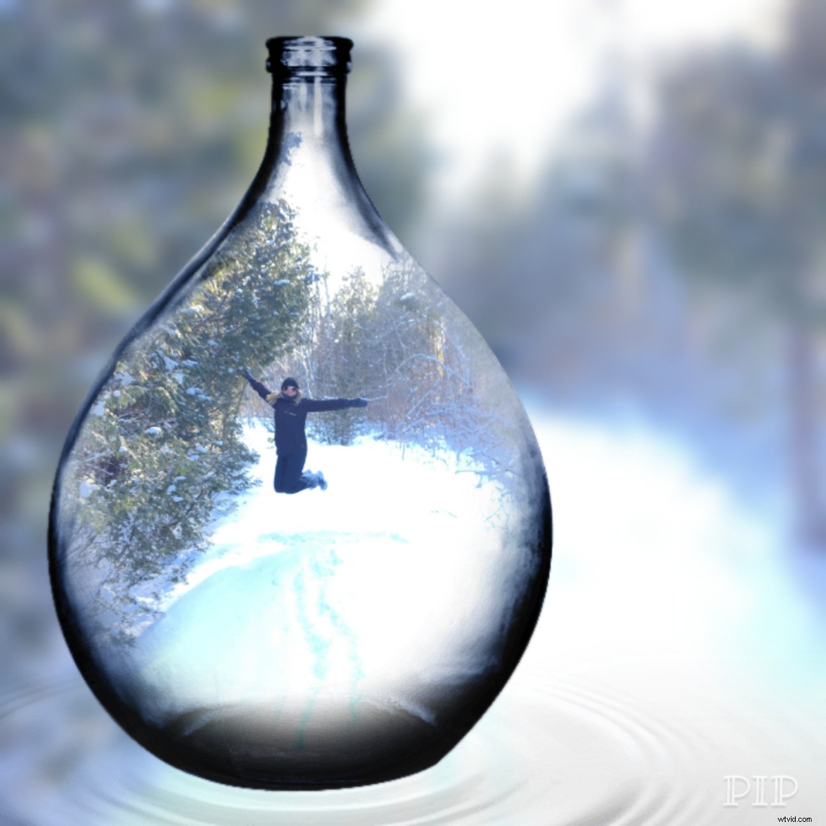 Top 5 Android Apps for Stunning Creative Selfies