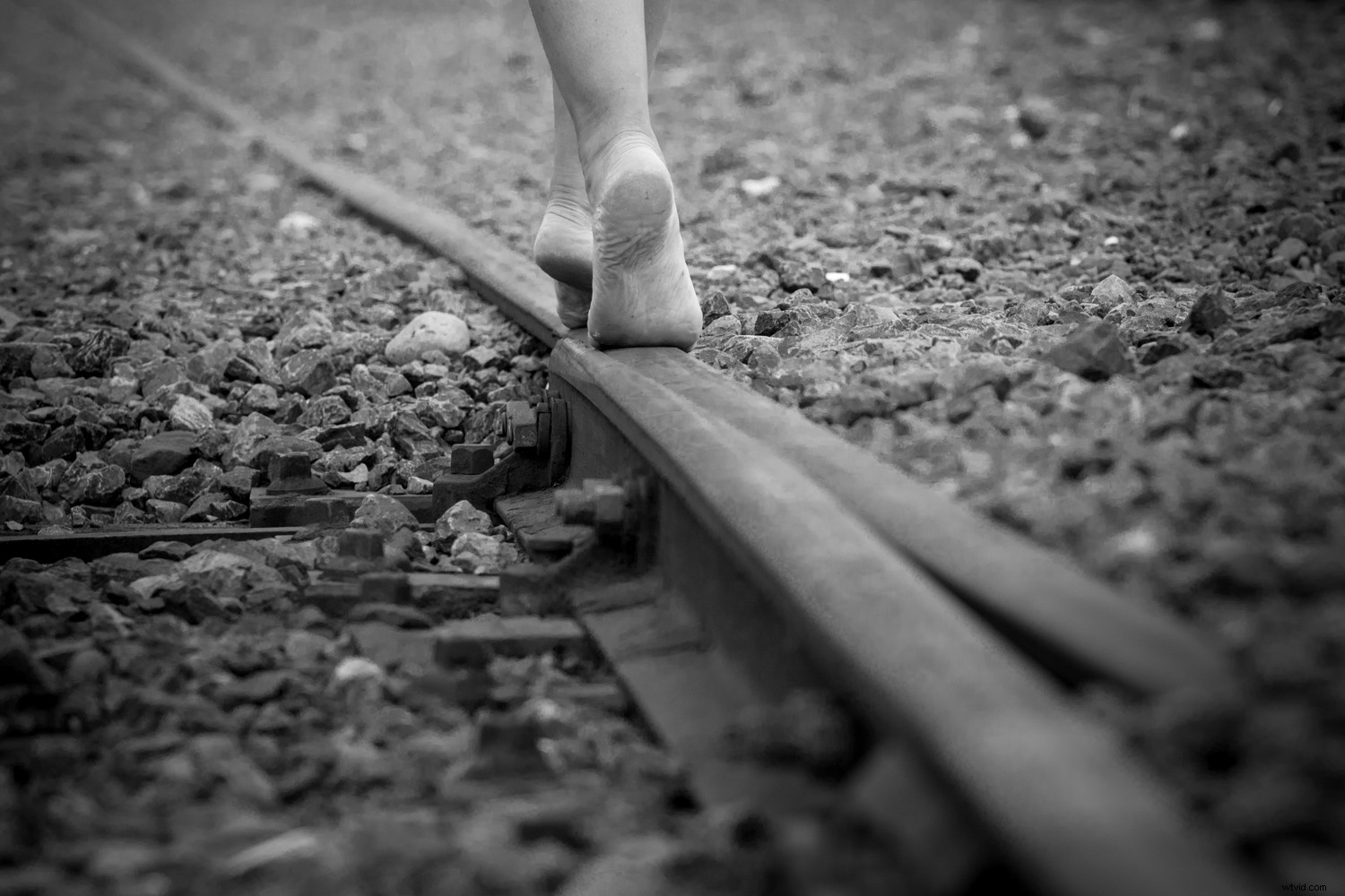 Elevate Your Photos: Master Creative Editing for Stunning Results