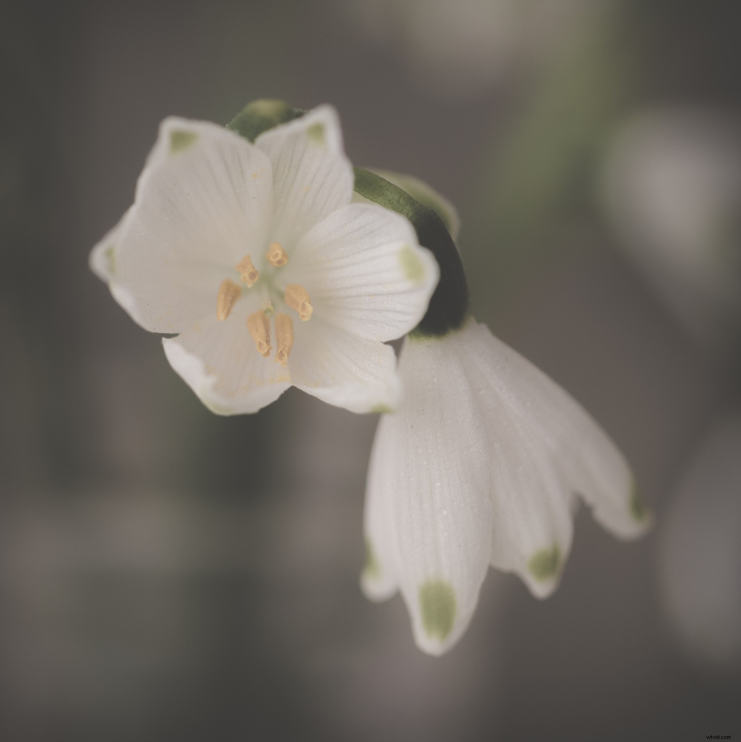 Elevate Your Photos: Master Creative Editing for Stunning Results