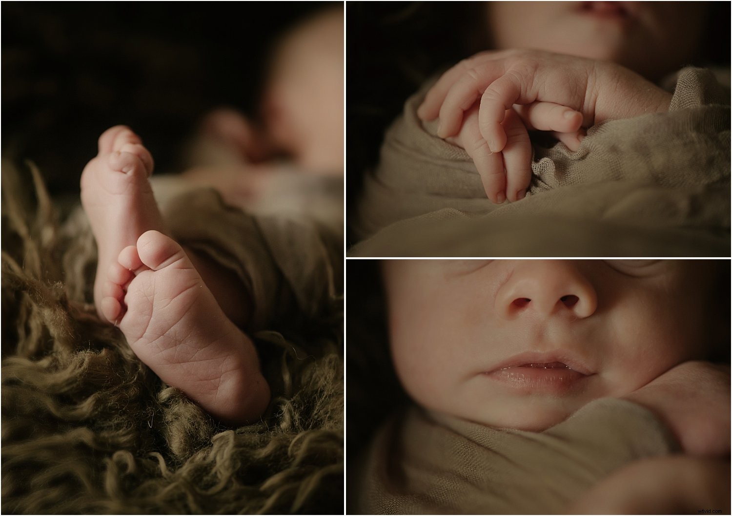 Newborn Photography Essentials: Basics and Must-Have Equipment Guide