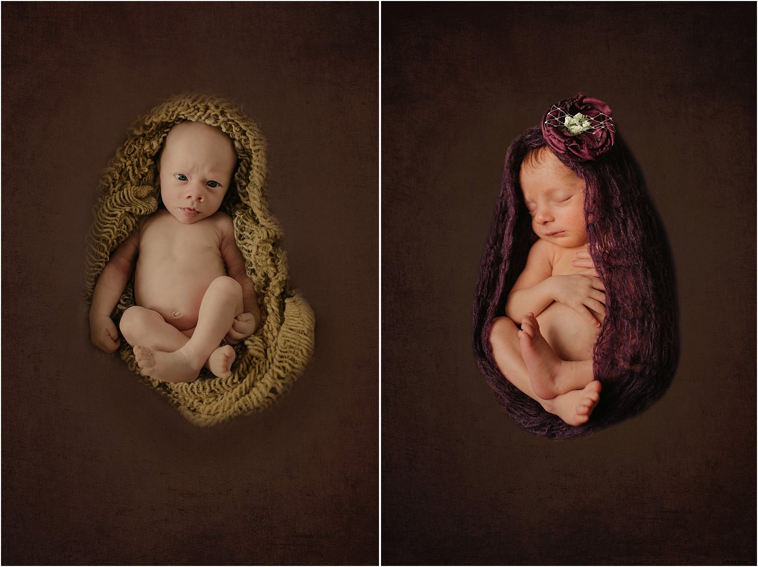 Newborn Photography Essentials: Basics and Must-Have Equipment Guide