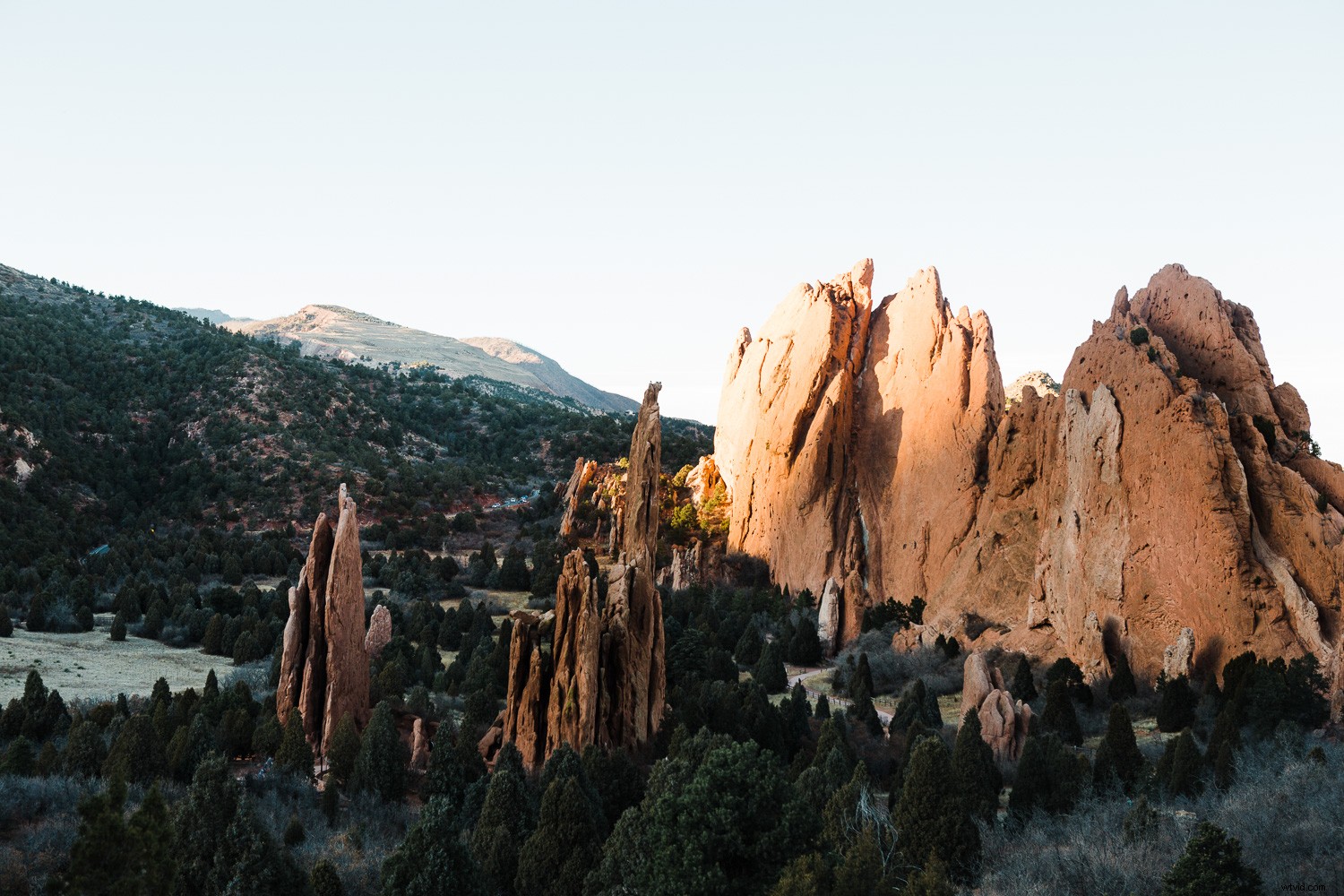 Master Color Accuracy in Your Photos: Pro Tips for Perfect Results