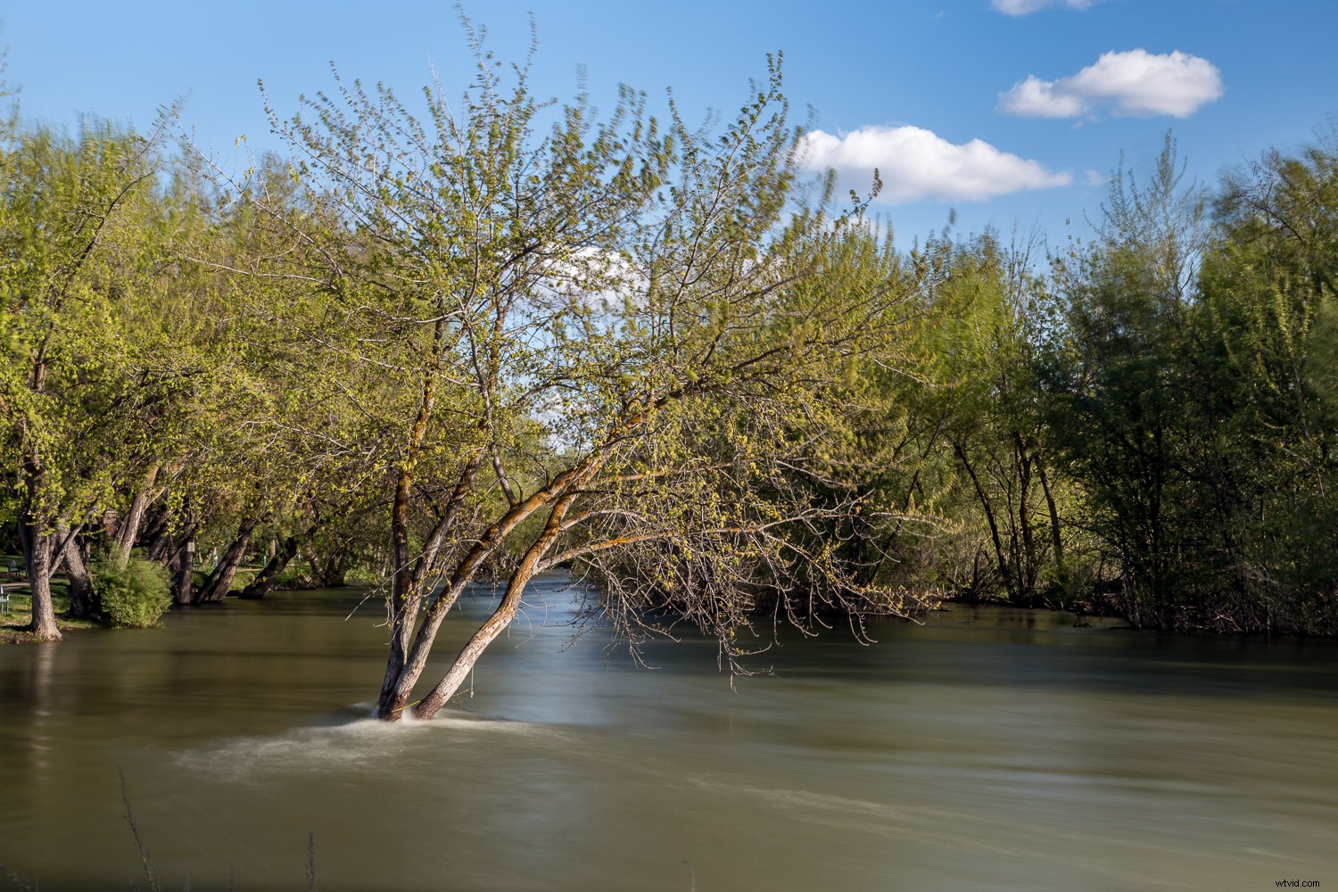 DIY Neutral Density Filter: Easy Hack for Stunning Long Exposure Photography