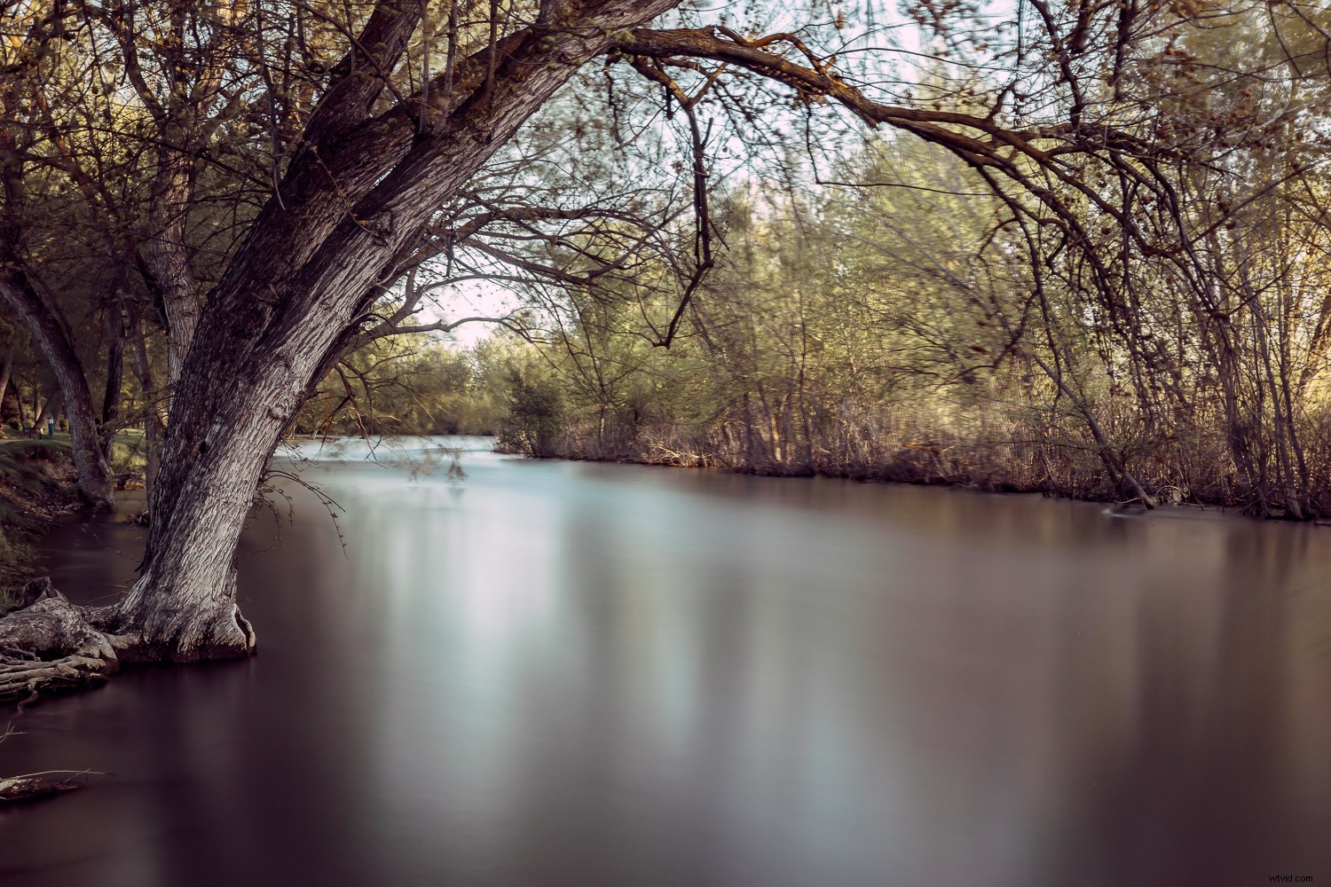 DIY Neutral Density Filter: Easy Hack for Stunning Long Exposure Photography