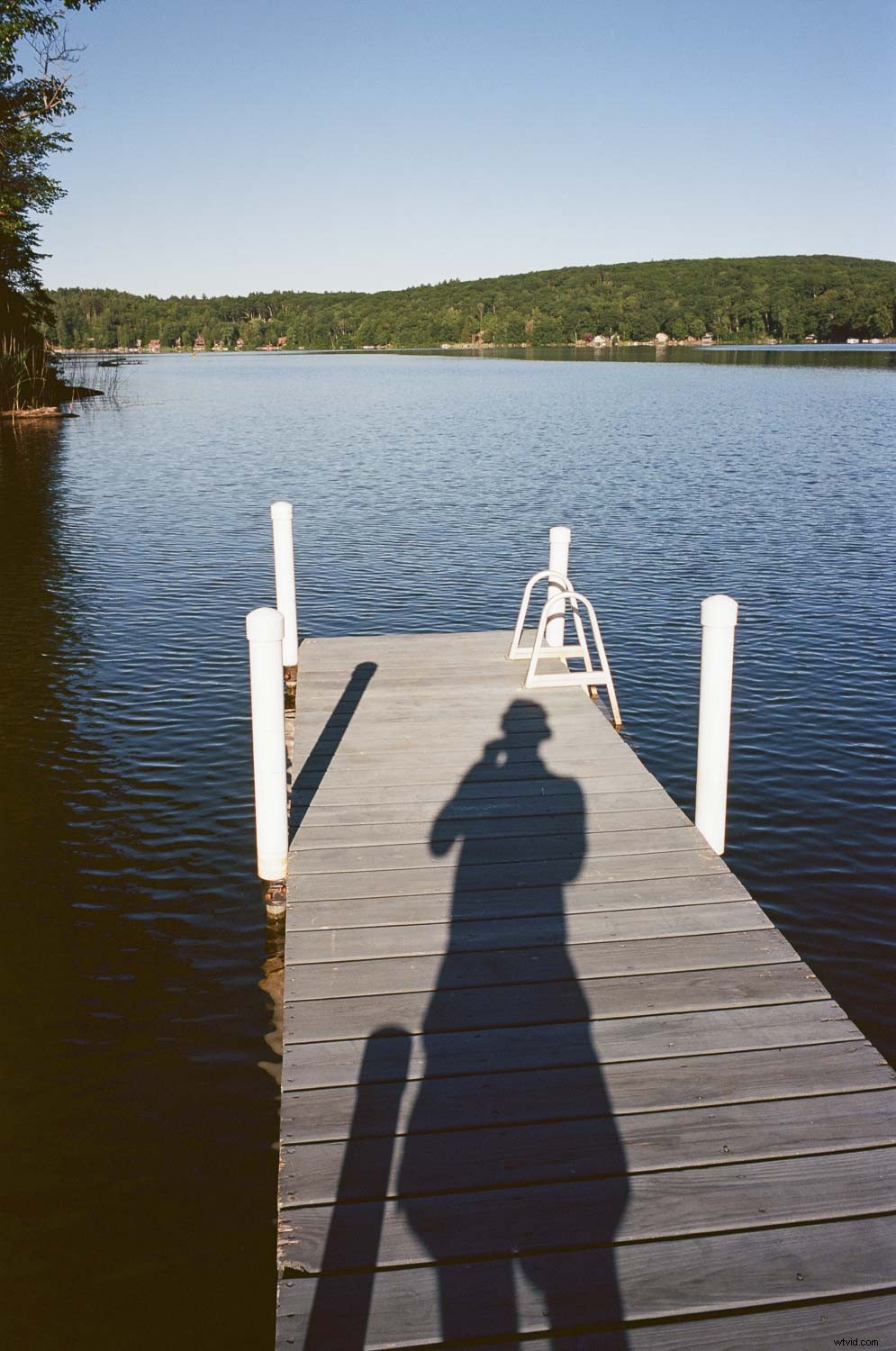 5 Proven Steps to Capture Stunning Photos and Elevate Your Photography