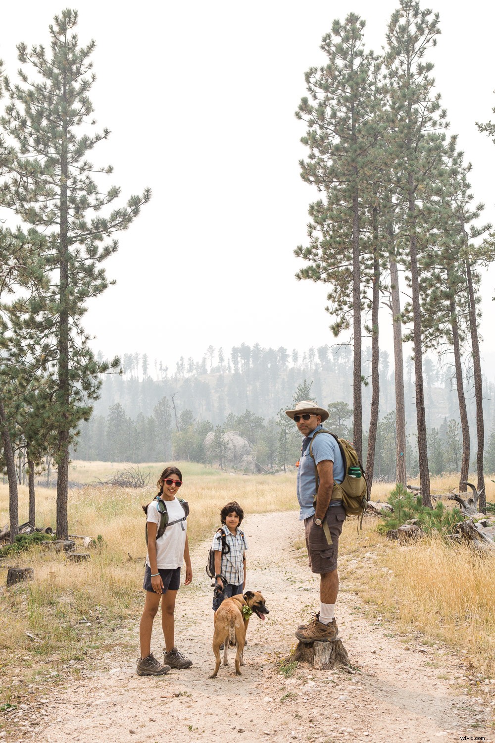 Build an Efficient Photography Workflow to Preserve Your Images Long-Term