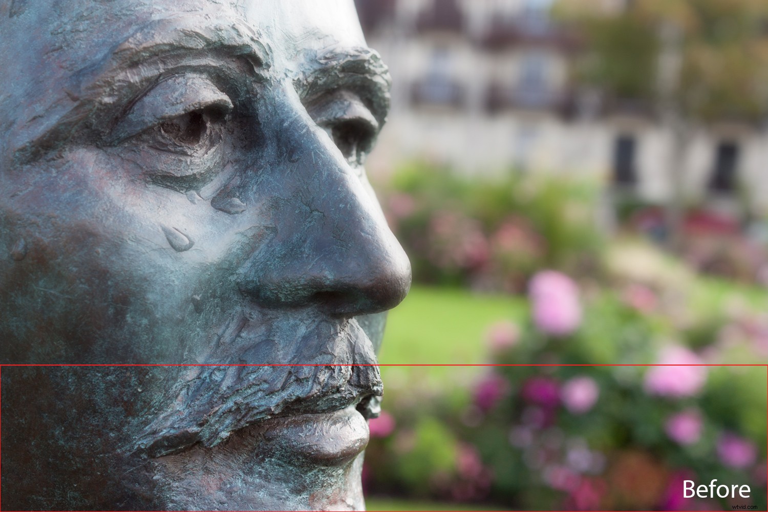 Elevate Your Photography: How Cinema Sparks Creative Inspiration