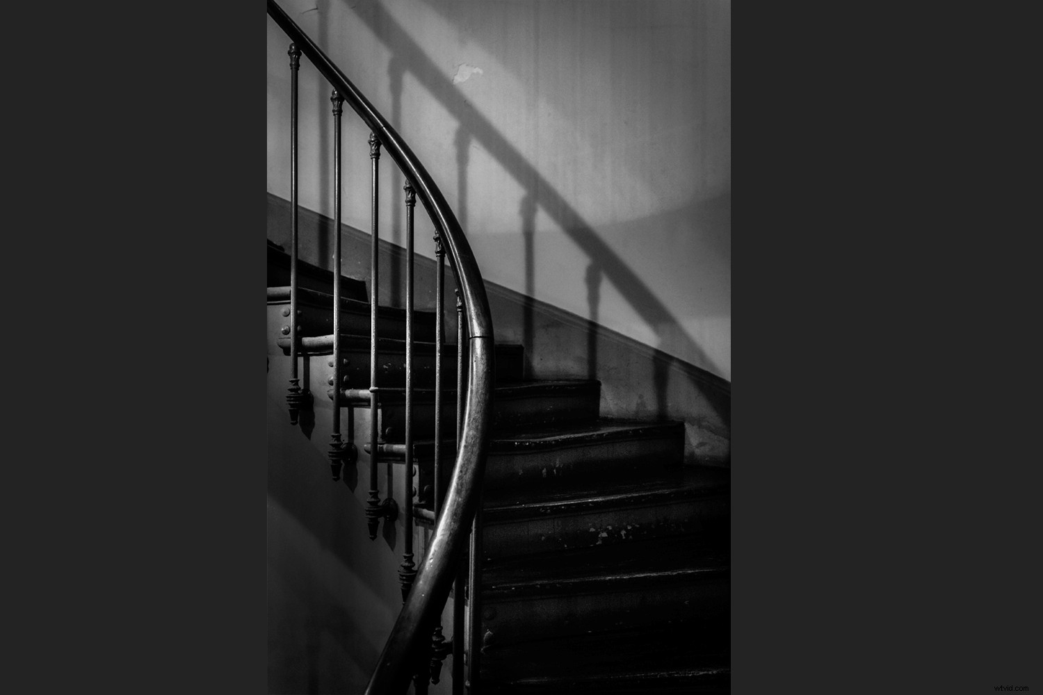 Elevate Your Photography: How Cinema Sparks Creative Inspiration