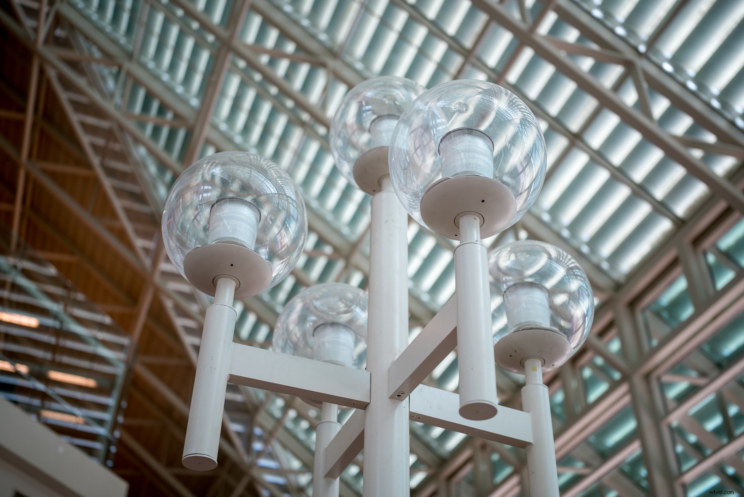 Sigma 40mm f/1.4 DG HSM Art Lens Review: Expert Insights on Performance & Quality