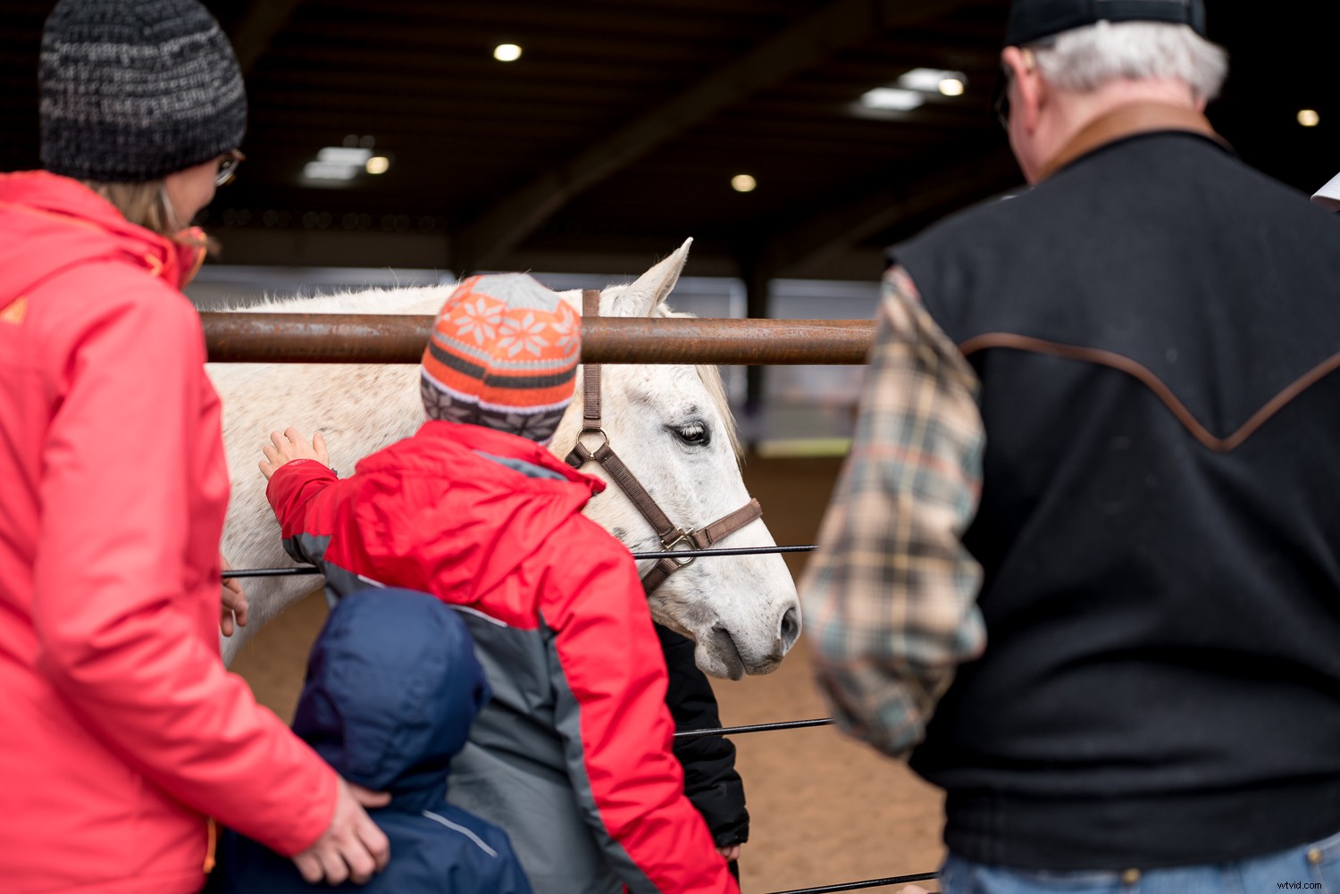 Sigma 40mm f/1.4 DG HSM Art Lens Review: Expert Insights on Performance & Quality