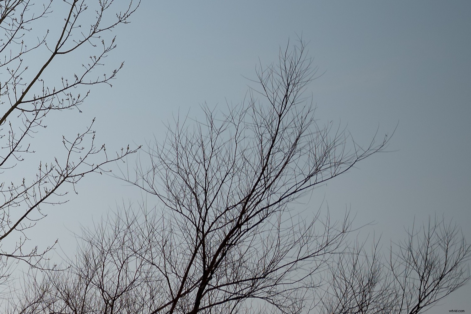 Sigma 40mm f/1.4 DG HSM Art Lens Review: Expert Insights on Performance & Quality