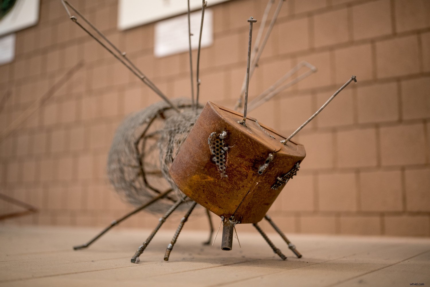 Sigma 40mm f/1.4 DG HSM Art Lens Review: Expert Insights on Performance & Quality