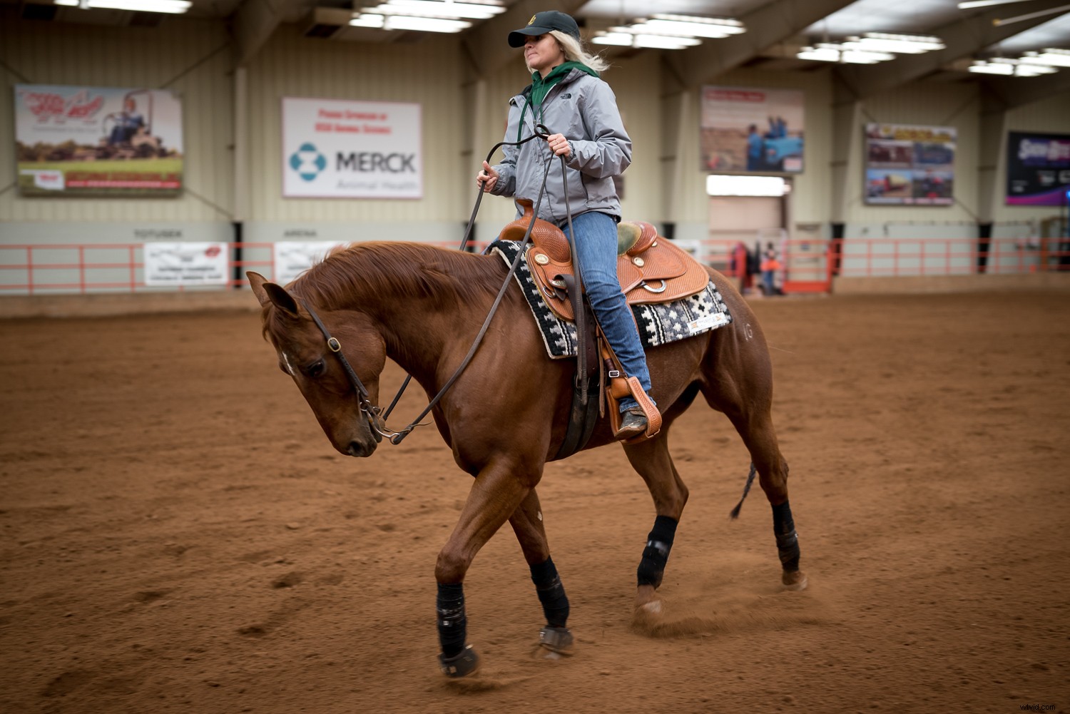 Sigma 40mm f/1.4 DG HSM Art Lens Review: Expert Insights on Performance & Quality