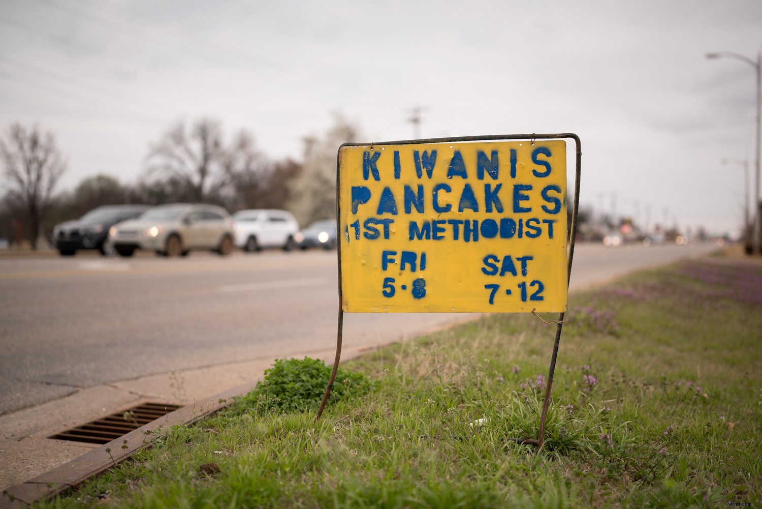 Sigma 40mm f/1.4 DG HSM Art Lens Review: Expert Insights on Performance & Quality