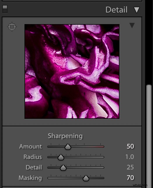 Ultimate Guide to Food Photography: Pro Tips for Stunning, Mouth-Watering Shots | dPS