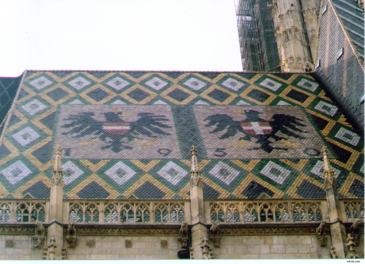 12 Common Photography Mistakes Beginners Make (And How to Fix Them)