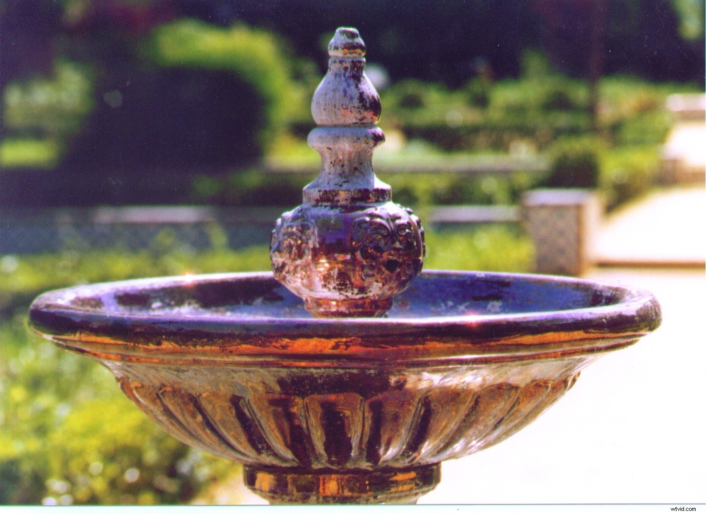 12 Common Photography Mistakes Beginners Make (And How to Fix Them)