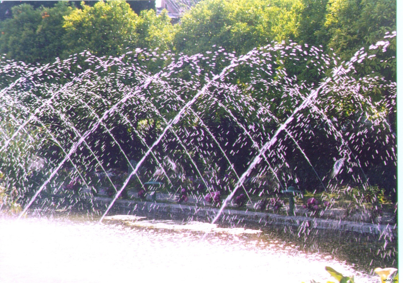 12 Common Photography Mistakes Beginners Make (And How to Fix Them)