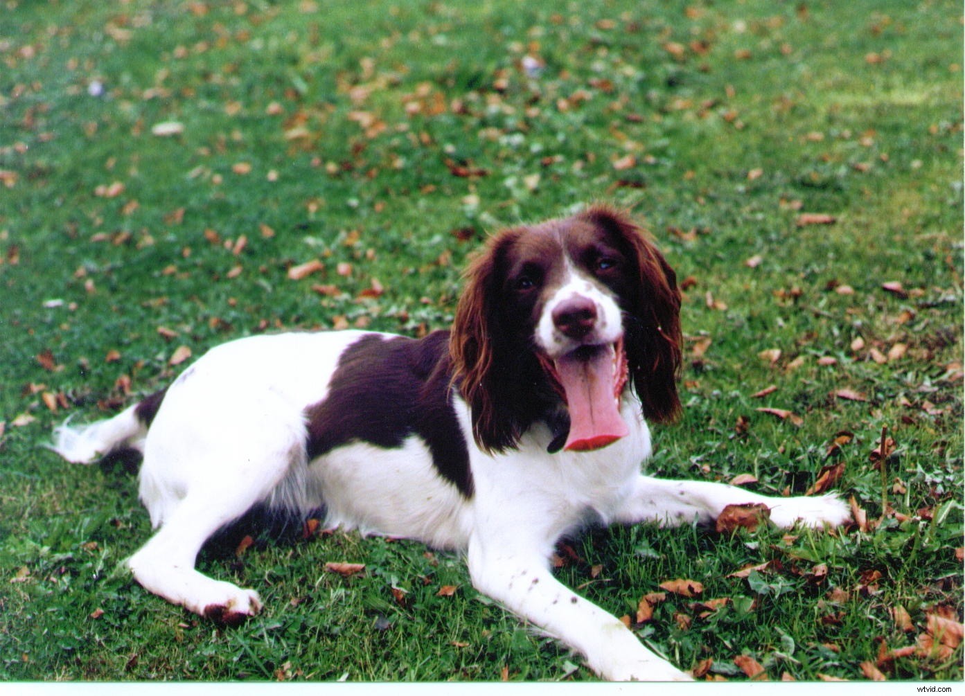 12 Common Photography Mistakes Beginners Make (And How to Fix Them)